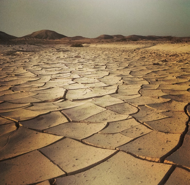 Dry cracked earth of the Negev Desert