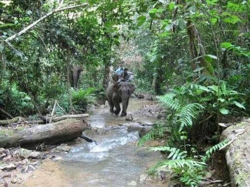 2008 Visit #2: Trudging through jungle near private village location