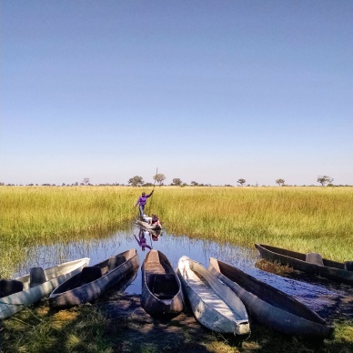 View from the campsite of the Okavango Delta